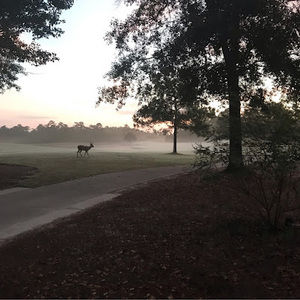 Meet your Posher, Abel